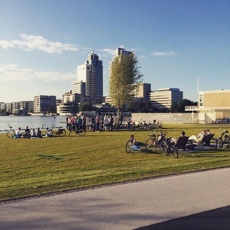 Urban public space #Amsterdam cycling to park and enjoying life