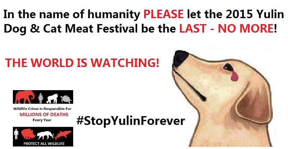 Protect_Wldlife's tweet photo. Please Sign &amp; RT: Stop the #YulinDogMeatFestival FOREVER! http://t.co/pTXc0tFGxO #StopYulinFOREVER http://t.co/O3nnlviVlV