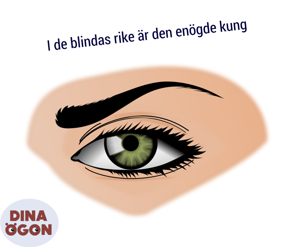 Dina Ögon (@dinaogon) on Twitter photo 