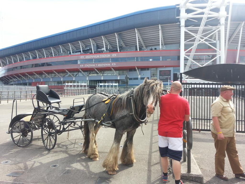 LionrockCo's tweet photo. New public transport system in Cardiff.? http://t.co/Rtm5oDuFmU