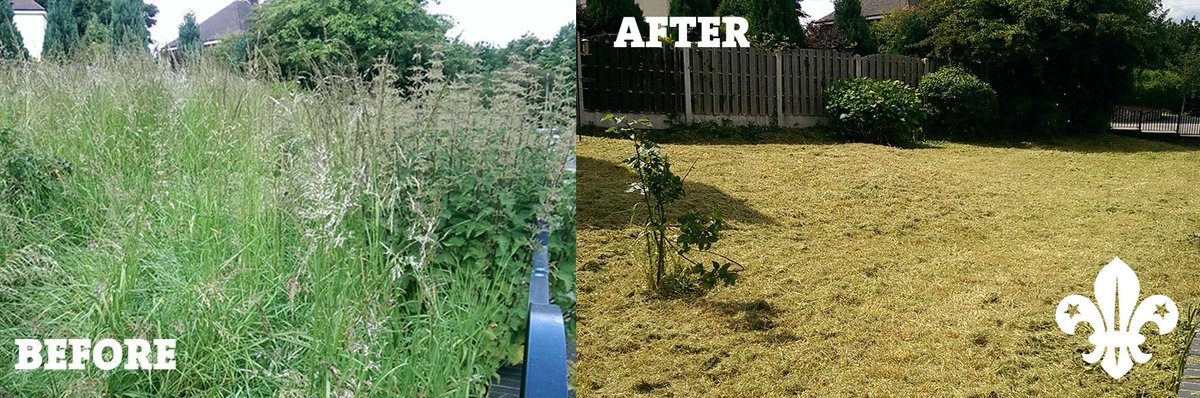 231stScouts's tweet image. Our Scouts have worked incredibly hard today; gardening for elderly residents in Shiregreen #iScout #ScoutsHelpOthers