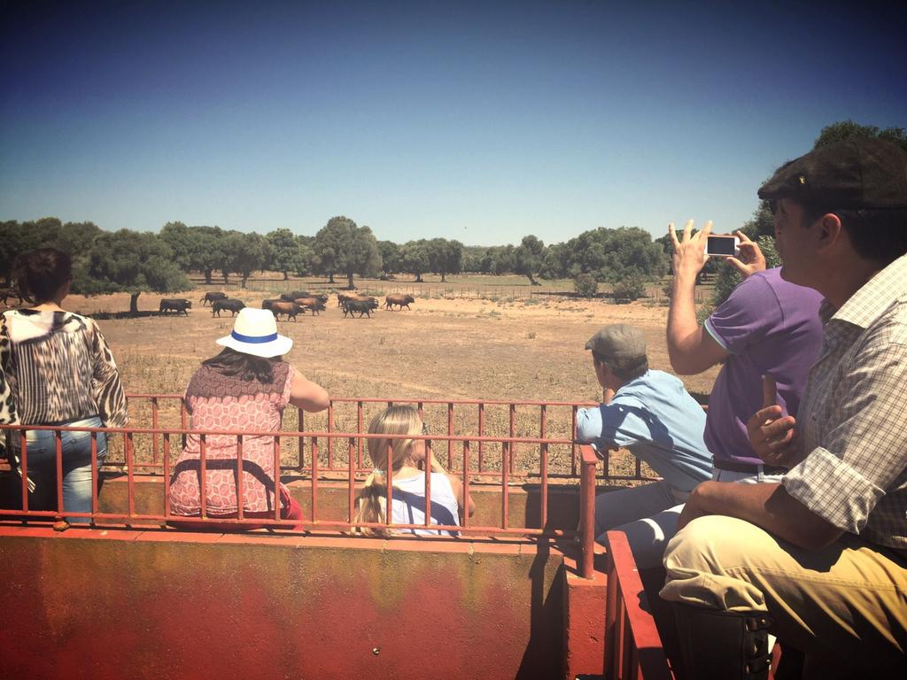 AficionTaurinos's tweet photo. Gracias a @Lagunajanda por este gran día donde 30 directivos ha aprendido los valores del toro junto a @Bull_Team_ http://t.co/UvE0If0QdT