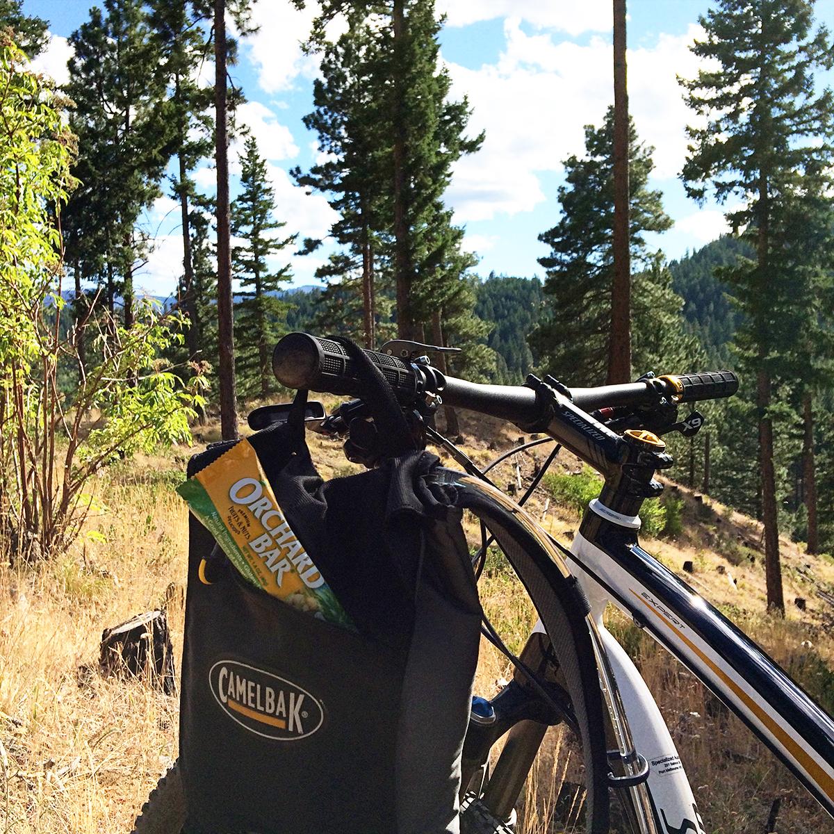 OrchardBar's tweet photo. #Mountainbiking this weekend? Bring yourself a couple Orchard Bars! http://t.co/z7aTUoD8j8