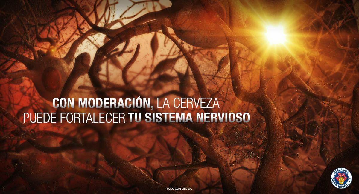 ConsumidorModel's tweet photo. #DatoModelo Tomar cerveza moderadamente puede ayudar a reducir los niveles de colesterol "malo". #ConsumoResponsable http://t.co/OAEF5GZ8OU