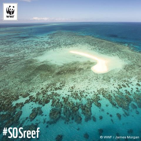 Какой остров расположен у берегов австралии. Большой Барьерный риф Австралия. Острова большого барьерного рифа. Коралловый риф в Австралии. Сидней Барьерный риф.