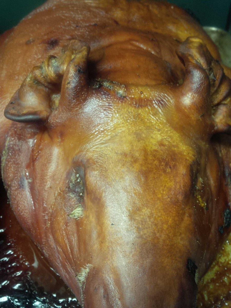 danieljcmartin's tweet photo. The whole hog! Tonight @MamboLounge http://t.co/0tI5bqBvIa