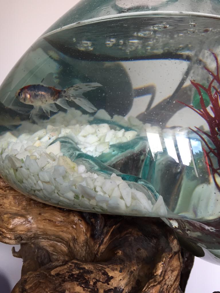 Red Spot now has three new team members, We just need names for them now, any ideas?