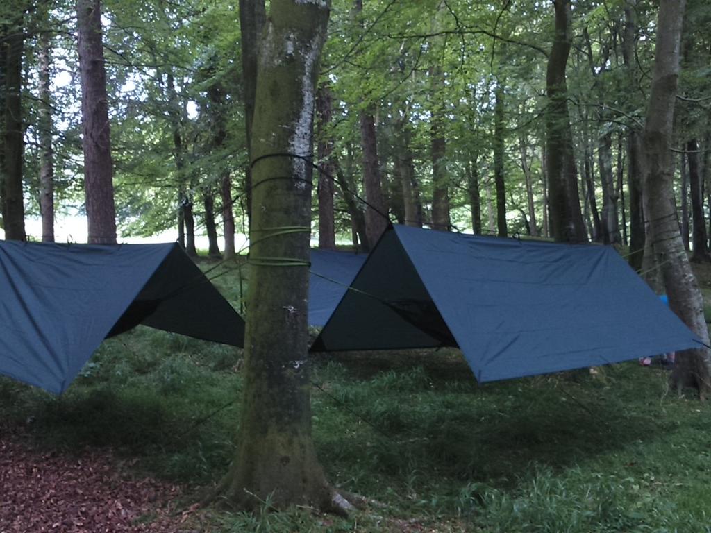 31stBelfast's tweet image. Beds all set