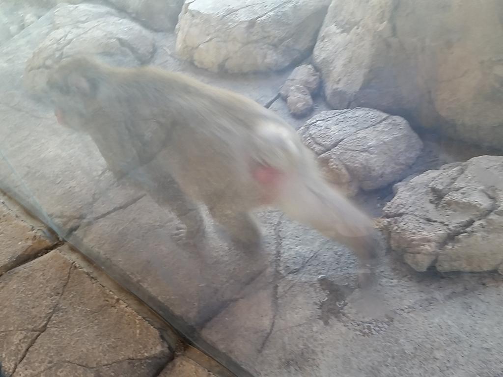 JrUriel's tweet image. lui's dad @LuiCalibre