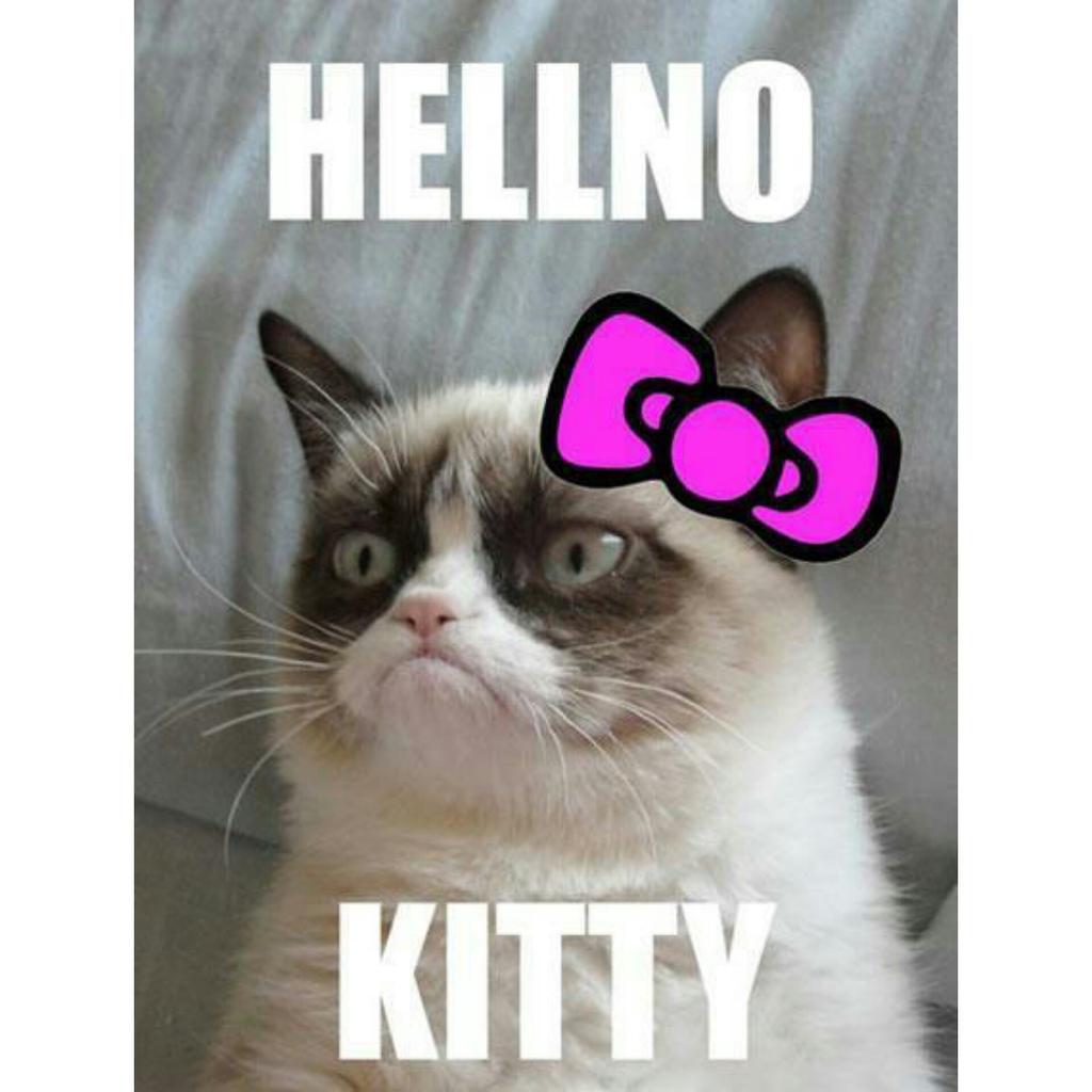 what_da_florida's tweet photo. #hellnokitty #grumpycat #grumpiercat #grumpy4life #tardarsauce #jesuisgrumpy http://t.co/6U2jmunoGp