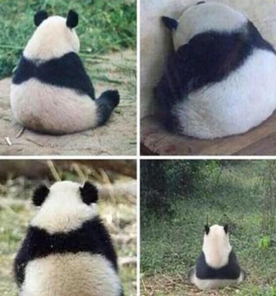 Saçmalama kızım ne kafama takıcam hayat devam ediyo sonuçta