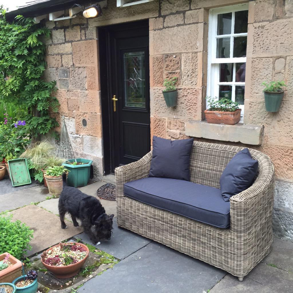 damson29's tweet photo. Dolly wondering if she has a chance at the new #garden sofa? #dogsoff http://t.co/F4wZIUfSw8