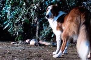 Looking back for the Future lunagarzatb.wordpress.com/2015/06/27/loo…