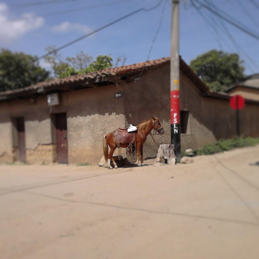 nicaraguayes's tweet photo. Saturday morning in #ocotal #Nicaragua #centralmerica #explore #offthebeatentrack http://t.co/0CcoKJP0ET