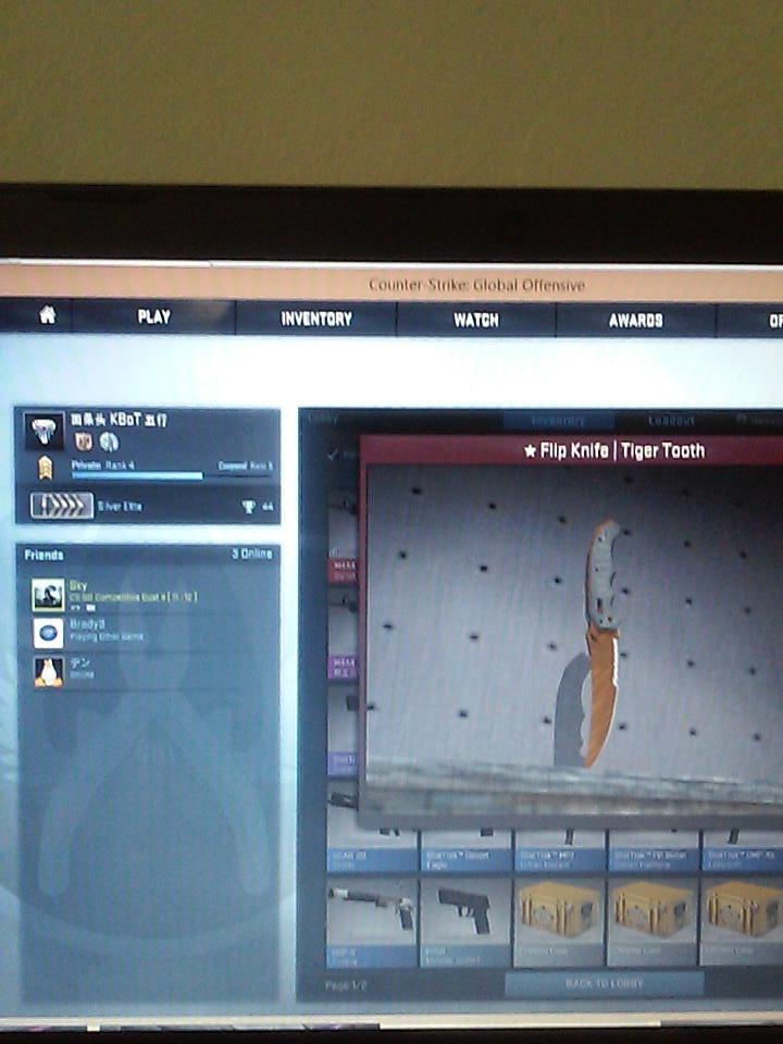 TheNoodleHeads's tweet image. KBot is giving out a FREE Flip Knife | Tiger Tooth on CS:GO at 300 followers! RT and Follow!