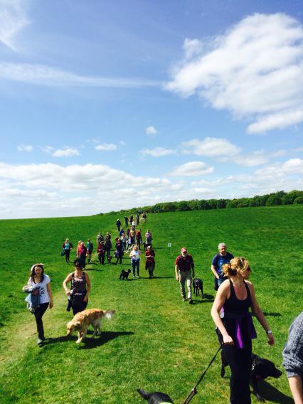 KGHearingDogs's tweet image. Can't wait for the @HearingDogs Great British Dog Walk @HughendenNT tomorrow at 11am with @NicholasOrpin2