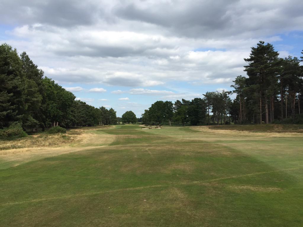 chick_pro's tweet photo. Golf today at Sunningdale #NewCourse #TightLies #Bouncy #TightFairways #KeepItStrsight http://t.co/bKJvpov4AR
