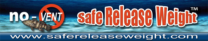 SafeRelease's tweet image. #angler #sportfishing #grouper #groupergrapple #capecoral #fortmyers #fortmyersbeach #sanibel #captiva #fishing