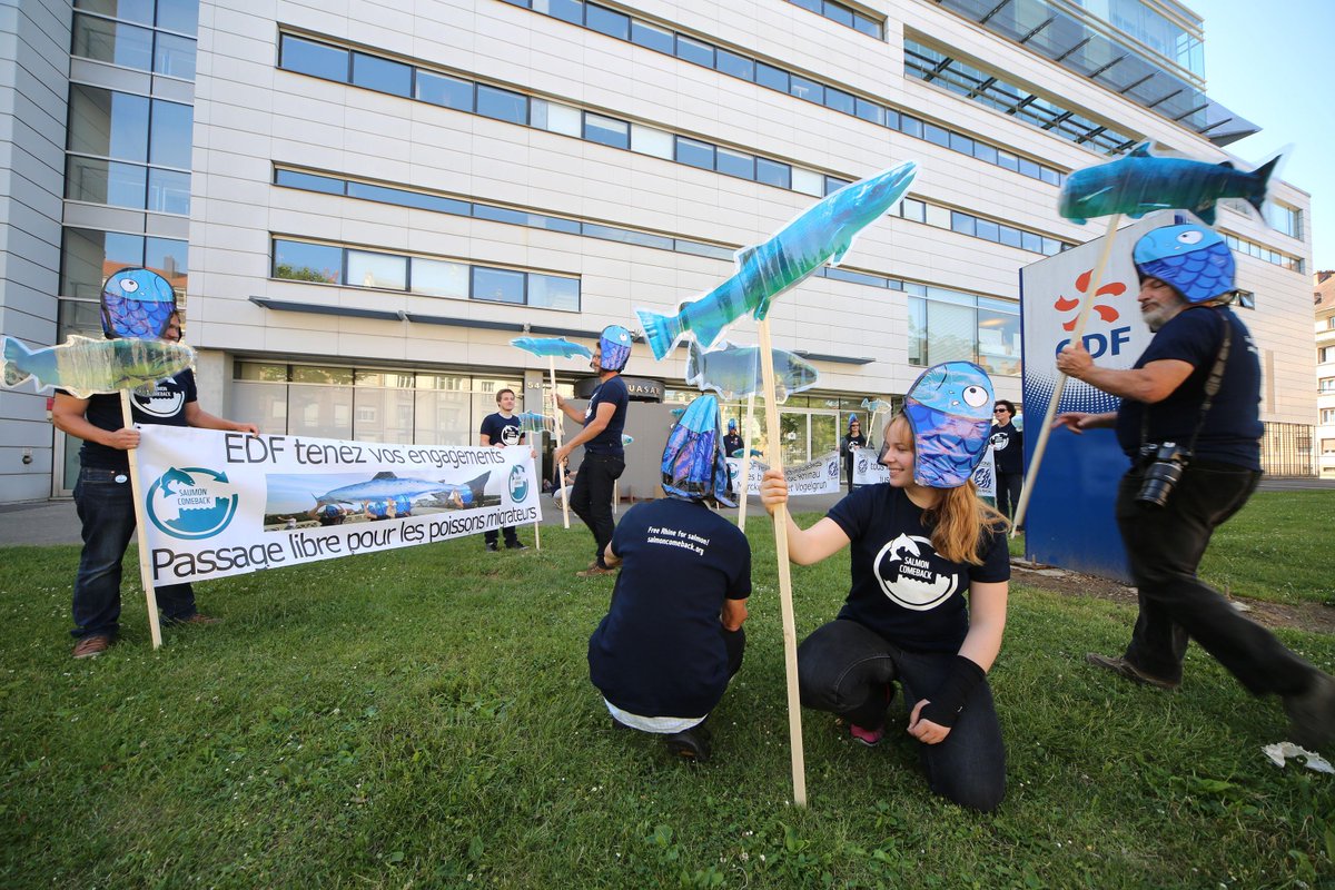 BigJumpChall's tweet photo. How does it feel to be a fish in front of a dam? Big Jump inventors block the entrance of a water power company! http://t.co/315RpDcU2Z