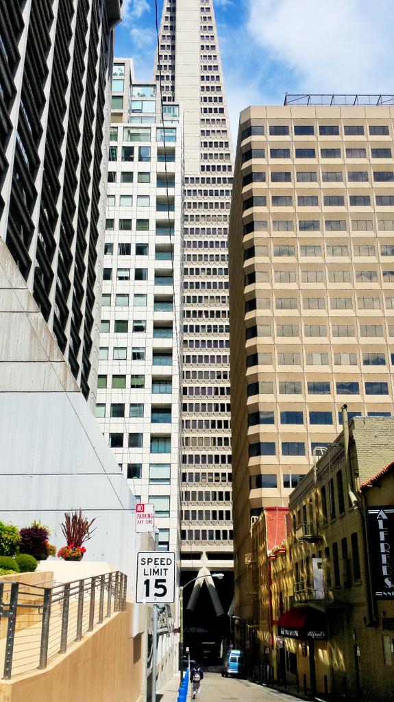 Atkins_Dave's tweet photo. Although she prefers her glamor shots, Pyramid is a working girl. #mydayinla #SFEdition http://t.co/FTh20lrPTw