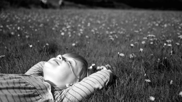 MindShiftKQED's tweet photo. Why Daydreaming is Critical to Effective Learning http://t.co/QGFeOKmnPG #edchat #distraction #brain http://t.co/7l0sPCQn9A