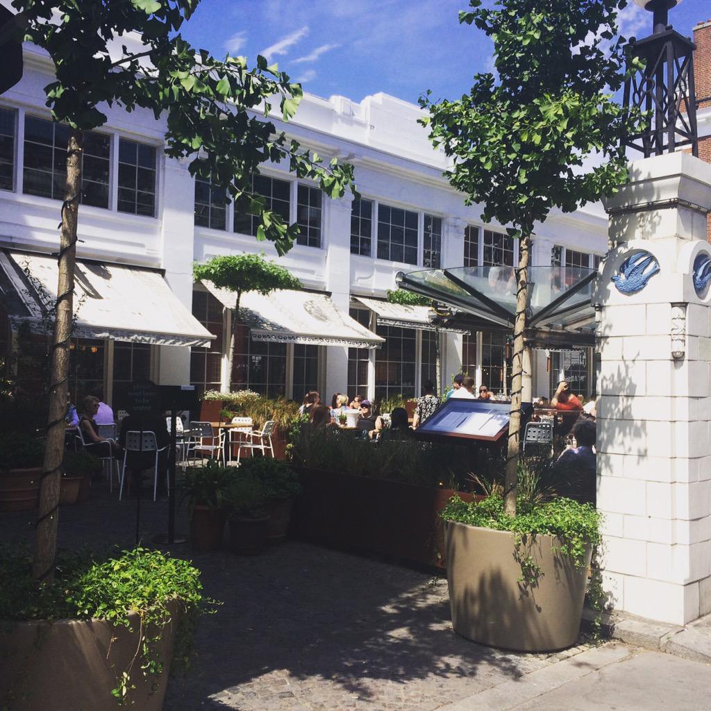 Wiggy Kit tweet media