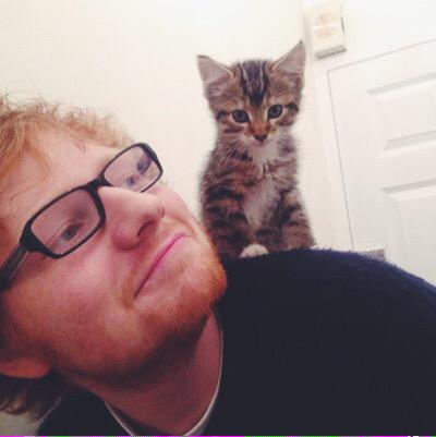 EdiGinger's tweet image. Because cat 😊