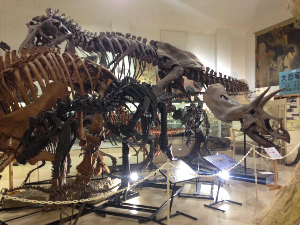 We just voted 2 more dinosaurs onto "Dinosaur Island" at the Museum at Black Hills Institute.