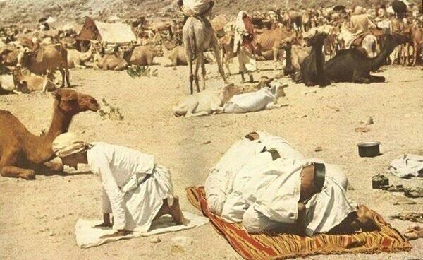 hehdhh81's tweet photo. تم التقاط هذه الصورقبل50سنه لمناسك الحج عن طريق طال�� باكستاني يحمل الجنسية الآمريكيه وقتهاكان يمنع التصوير سبحان الله http://t.co/VPTG7Lztvs