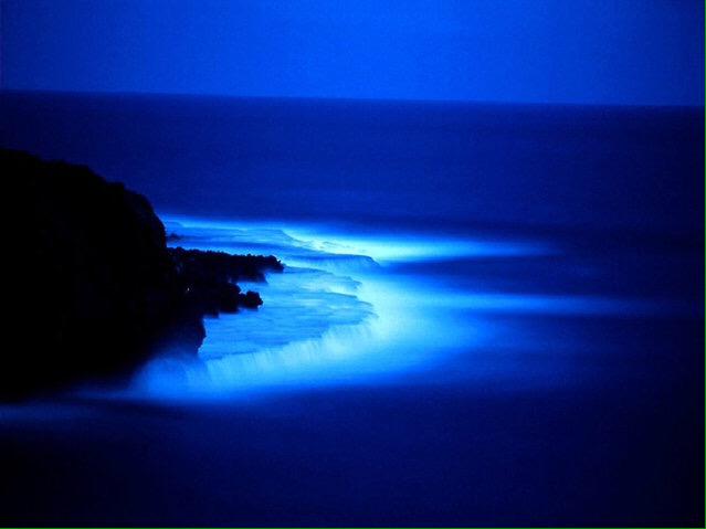 fyeahCalifornia's tweet photo. Bioluminescent waves in San Diego 😍 http://t.co/gJHBDFXwv2