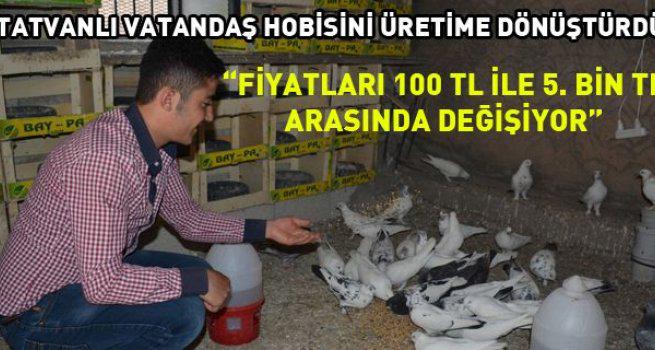 bitlistvhaber's tweet photo. Kuluçkaya Yatan Güvercinlere Özel İlgi http://t.co/MYYQFK4ZO6 http://t.co/Pvza9g0brD