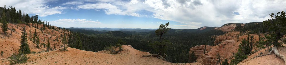 miles_f's tweet image. Scene from today's ride #yzf450 #amazingdayamazingrides