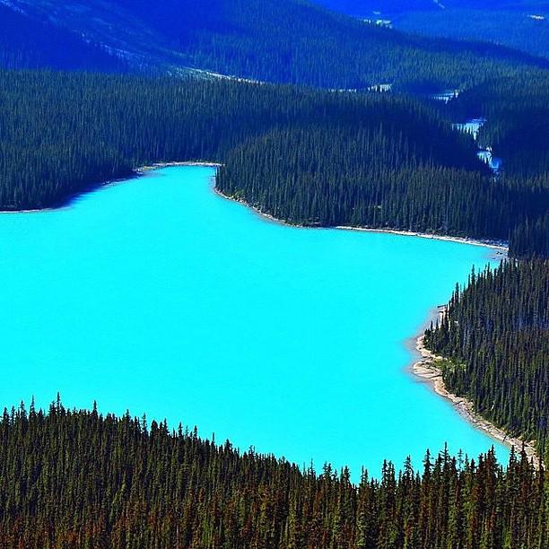 EarthPix's tweet photo. Peyto Lake, Alberta, Canada | Photography by mthiessen (IG) http://t.co/B1LQJ9qUSc