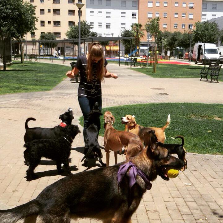 rubiaelebo's tweet photo. Buenass nochess!!🐶❤️ http://t.co/h3ScNI0d9c