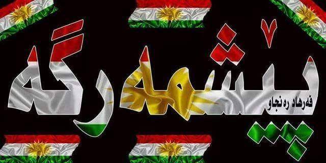 darya.qaraman (@daryaqaraman) on Twitter photo 