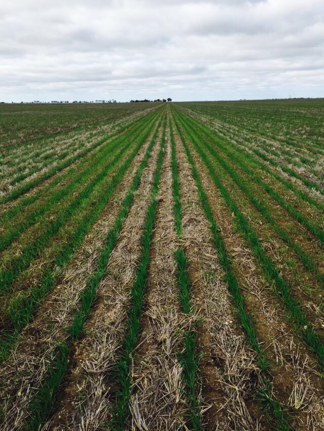 Tom CarrEllison (TCarrEllison) Twitter