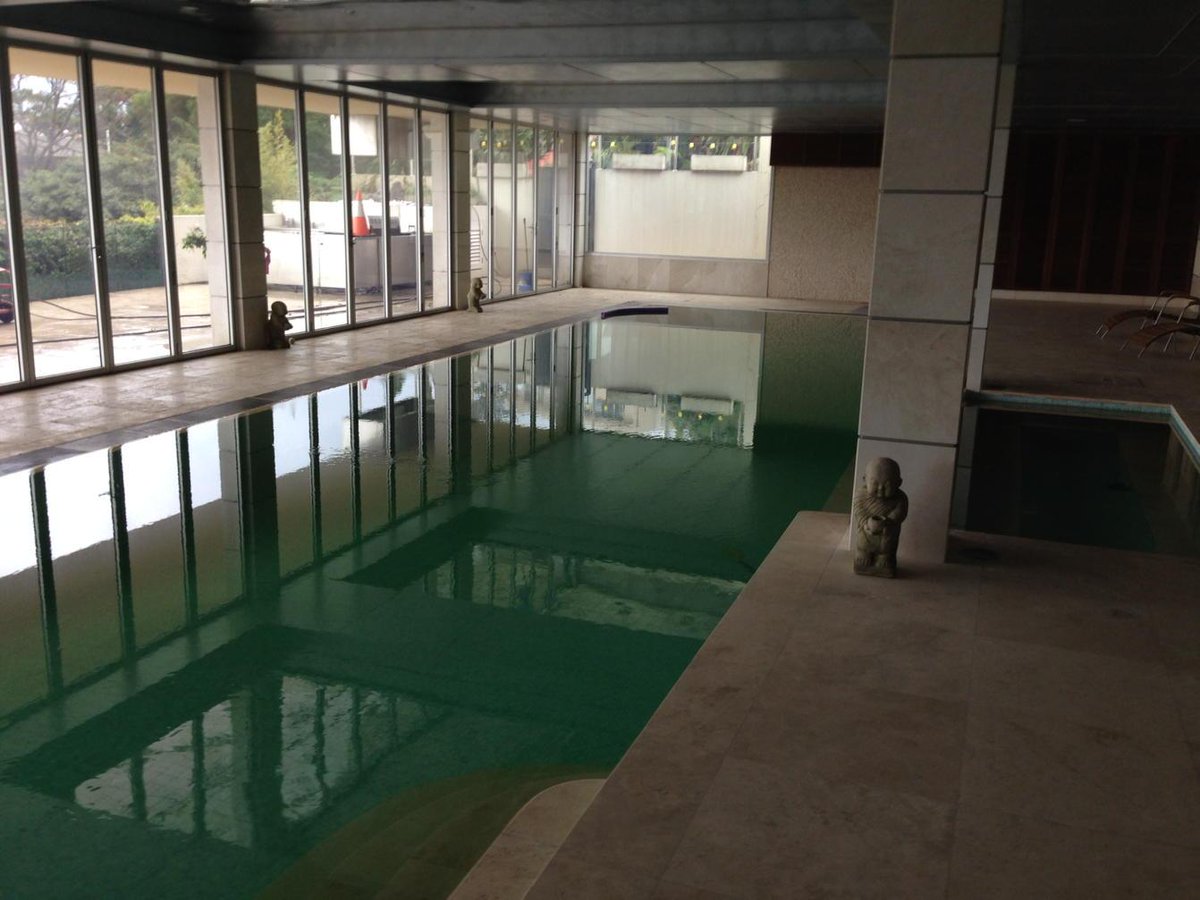 Ronan_Chastain's tweet image. 