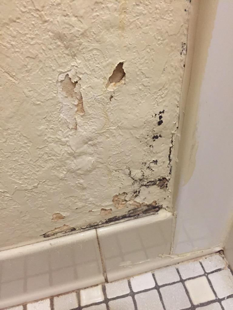TheSunsetTrail's tweet photo. Seriously disgusting @Americinn Forest Lake, MN. http://t.co/6PO9ifdyib