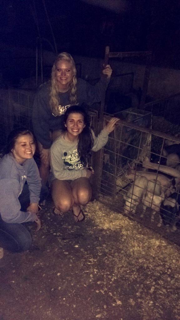 MartensonPigs's tweet photo. Thankful for our visitors tonight. #LiveTweet @d_martenson48 http://t.co/0ZSjULfcdy
