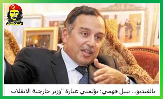 نبيل فهمي: تؤلمني عبارة "وزير خارجية الانقلاب "