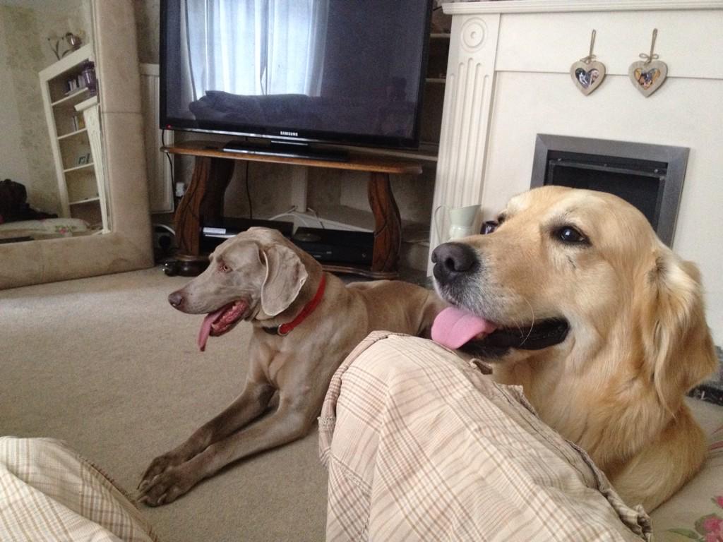 Millerparker01's tweet photo. Day with my bud http://t.co/opC6boT9Cx