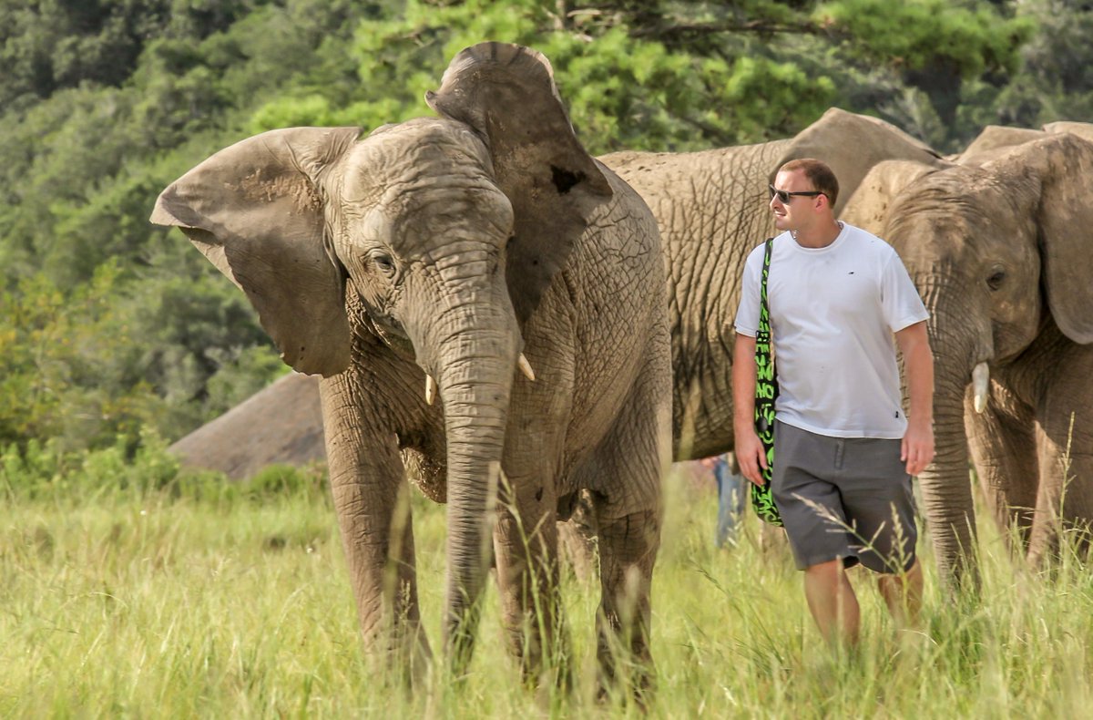 KnysnaTrunkCall's tweet photo. Book a Walk with Elephants @ Knysna Elephant Park! #knysnaelephantpark #knysnatrunkcall #loveelephants #SouthAfrica http://t.co/n1UIIFg39Z