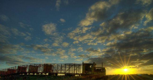 GALLERY: Treasure Ireland – 16 images of Offaly that will make you want to live there bit.ly/1ecgyA0