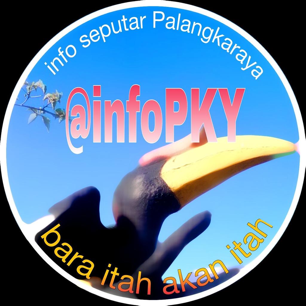 IG: @infopky tweet media
