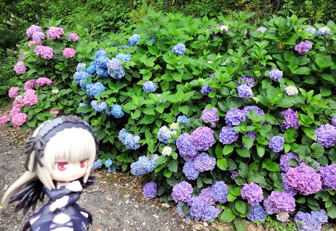 花野辺の里 勝浦市 千葉県 花火大会 お祭り イベントの場所や開催日程