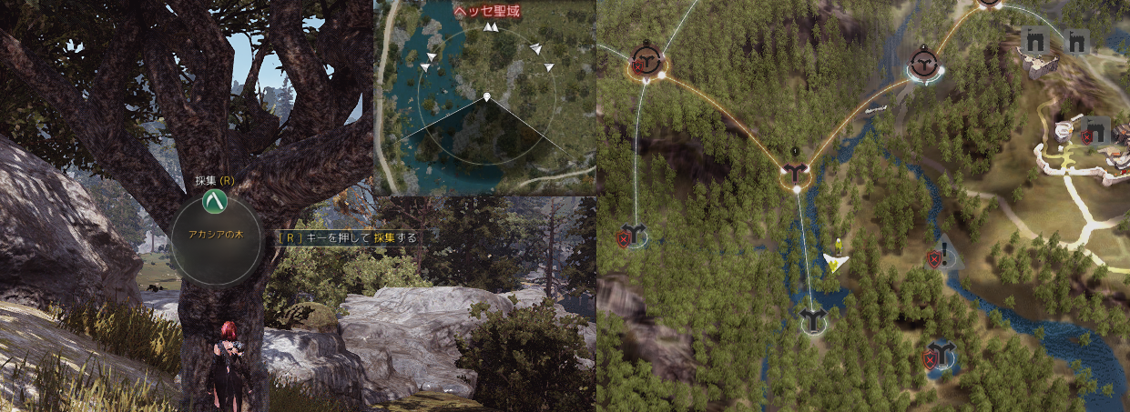 いむやん على تويتر 珍しいと思われる木々 ヒノキはメディア地域きたら普通に手に入るんだろうか ヤシの木は本国では松の原木が採取出来たらしいですが 日本では何も出ませんでした 黒い砂漠 Http T Co 3z0daektza