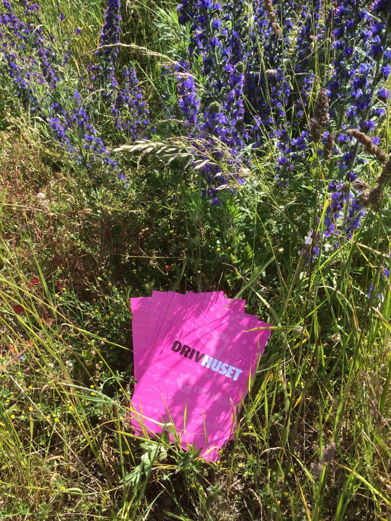 Drivhuset är självklart på plats under Almedalsveckan för att bevaka entreprenörers intressen!#Almedalen2015