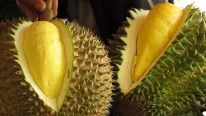 7 Falsafah Hidup Pada Buah Durian - AnekaNews.top