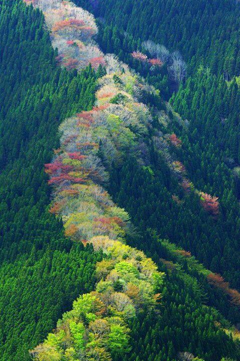 GeographicWorld's tweet photo. http://t.co/7MdVpWxz3P