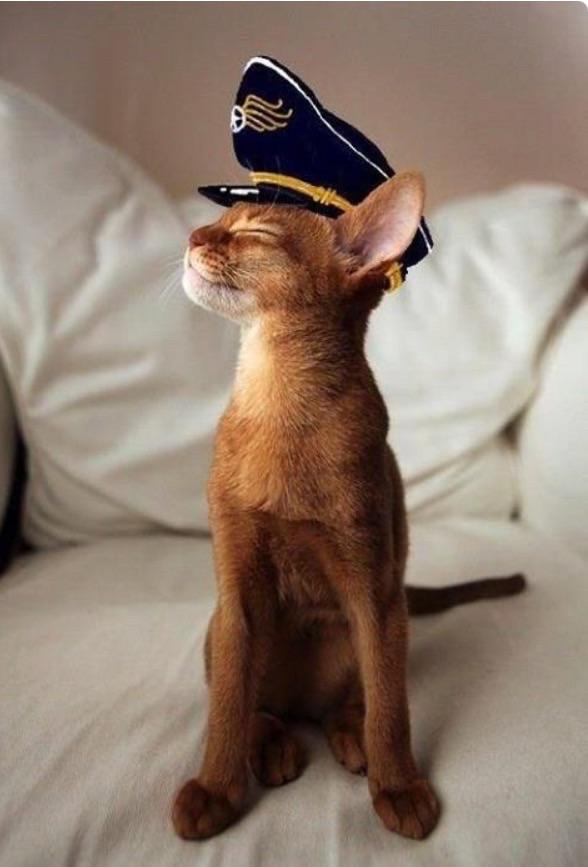 RealBobMortimer's tweet photo. http://t.co/cMfJhTciPo